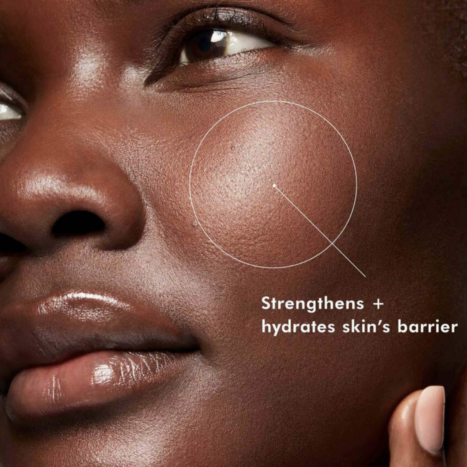 skinceuticals-phyto-correctiv-masque